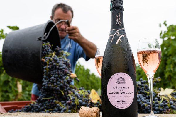 Légende de Louis Vallon / Crémant de Bordeaux rosé / 0,75L – Image 3