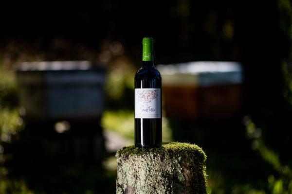 Sauv'Terre Bio / Bordeaux blanc / 2021 / 0,75L – Image 2