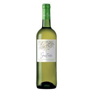 Sauv'Terre Bio / Bordeaux blanc / 2021 / 0,75L