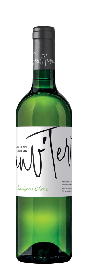 SAUV'TERRE SAUVIGNON BLANC / BORDEAUX BLANC / 2022 / 0,75L